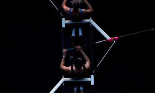 Agile Fluency - DAS Model der agilen Entwicklung?