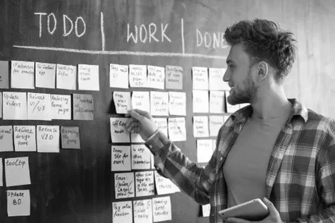 Darstellung holistisches, vernetztes Denken bei Pragtics